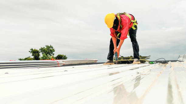 Best Skylight Installation and Repair  in Arche, OK